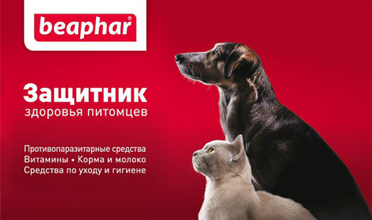 Рекламная кампания «Beaphar» на бортах автобусах и маршруток в городах России
