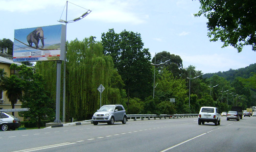 билборд в Дагомысе, Батумское шоссе, ул. Гайдара, А (в Сочи), cторона Б